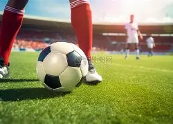 津门虎完胜,鹏城新军,喜迎开门红,半岛体育,半岛体育官方网站,半岛体育平台