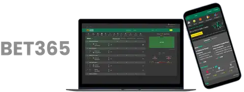 黄蜂半场落,拉文,分布里奇斯,半岛体育,半岛体育官方网站,半岛体育平台