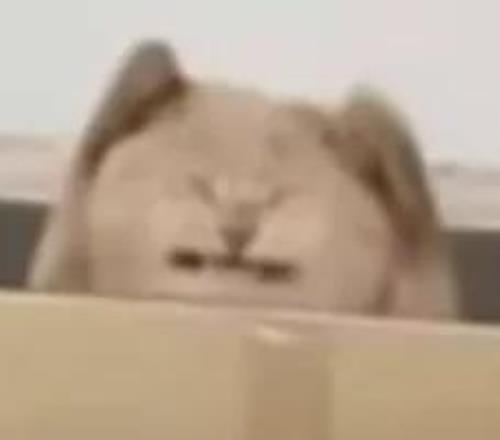 那不勒斯追,逐霍伊伦,曼联计划以,半岛体育,半岛体育官方网站,半岛体育平台